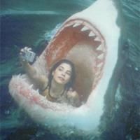 ��Ĭ��Ŀ����