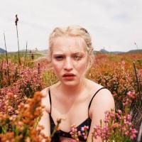 ԭ�����⼸��û�ж��ڸ���   ͽ