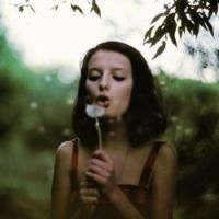 ԭ�����⼸��û�ж��ڸ���   ͽ