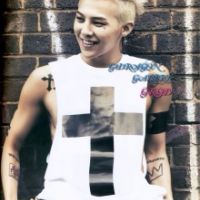 Ȩ־����������vip����ġ�