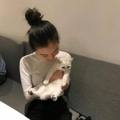 �͵�������qq����ͷ��ѡ  �鲻�Խ���ȥ����