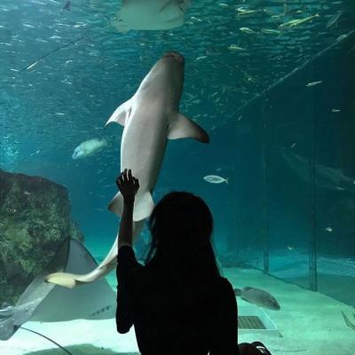 qq����ר��ͷ��     �޿�ȡ����