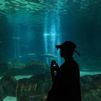 qq����ר��ͷ��     �޿�ȡ����