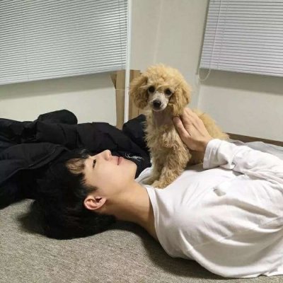 ����С��������ͷ��