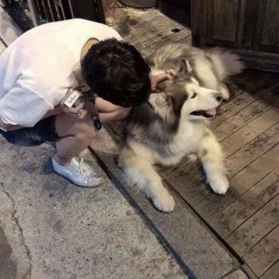 ���ʻ���è��������ͷ|���㻳��è ���й�