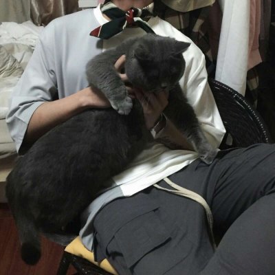 ���ʻ���è��������ͷ|���㻳��è ���й�