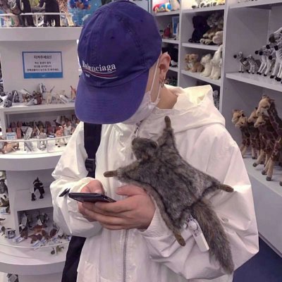 ���ʻ���è��������ͷ|���㻳��è ���й�