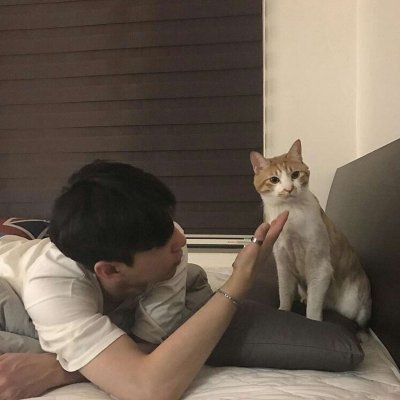 ���ʻ���è��������ͷ|���㻳��è ���й�