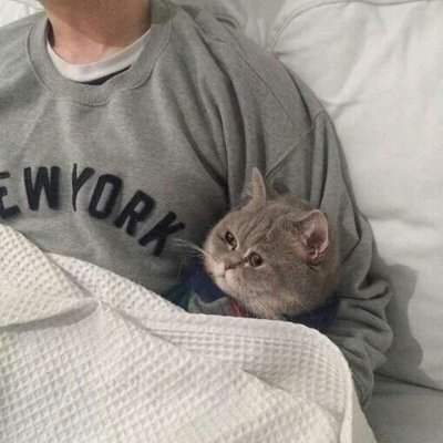 ���ʻ���è��������ͷ|���㻳��è ���й�