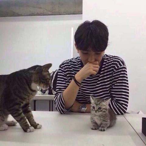 �������ͷ����������˧��   �����ҵ�style