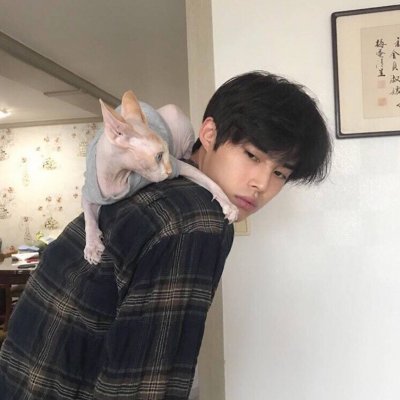 ���:����������ͷ.���޶�λ �ʿ�����