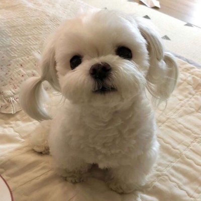 ���ͷ��Ҫ�����ǲ�Ҫ�˼��