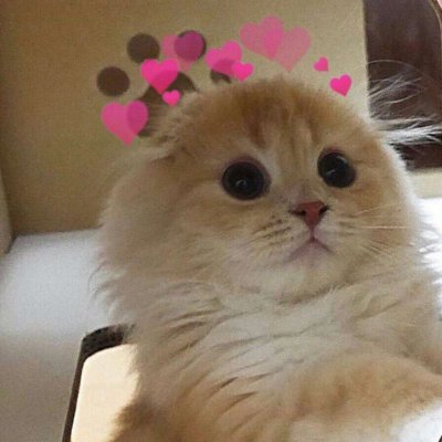 ���ͷ��Ҫ�����ǲ�Ҫ�˼��