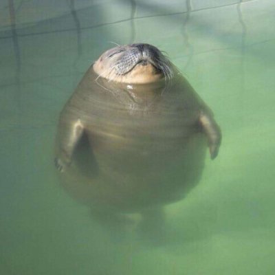 ���ͷ��Ҫ�����ǲ�Ҫ�˼��