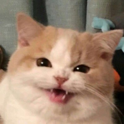 ���ͷ��Ҫ�����ǲ�Ҫ�˼��