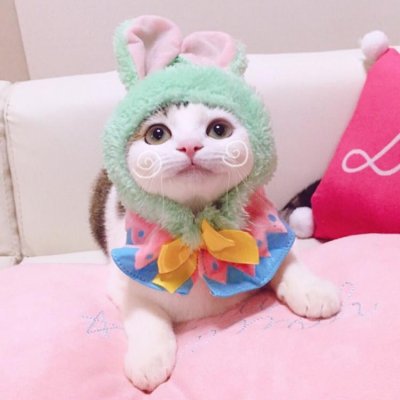 �����գ�������ͷ��