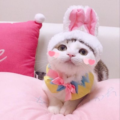 �����գ�������ͷ��