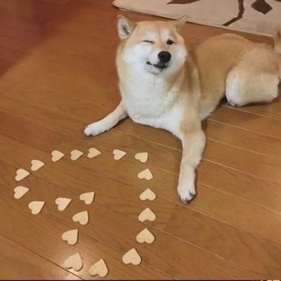 �����գ�������ͷ��