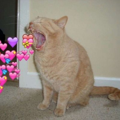 ���ͷ��һֱ������Ϊɶ����Ҫ�ϵ�