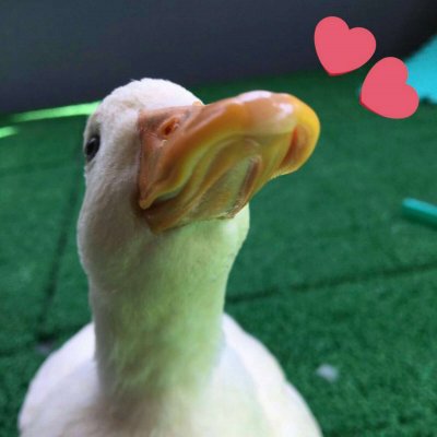 ���ͷ��һֱ������Ϊɶ����Ҫ�ϵ�