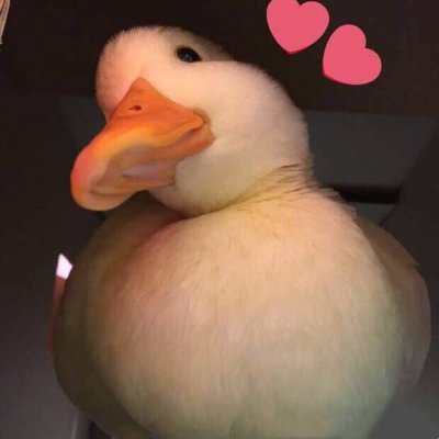 ���ͷ����ʵ��Ҳ�ܿɰ�