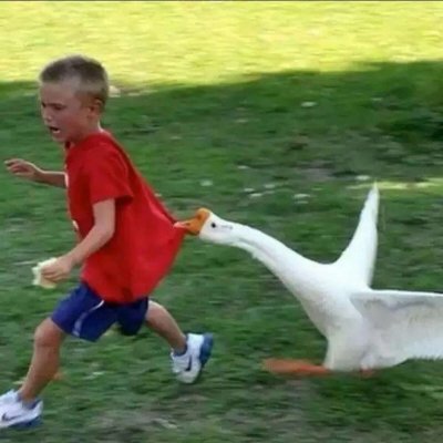 ���ͷ����ʵ��Ҳ�ܿɰ�