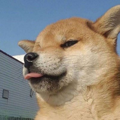 ���ͷ����ʵ��Ҳ�ܿɰ�