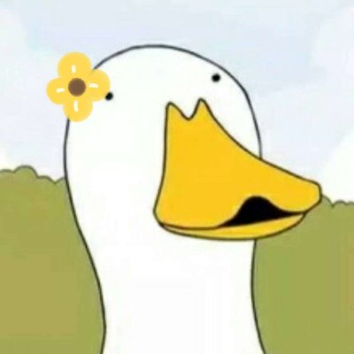 ���ͷ�񣺵����Ͳ����·�