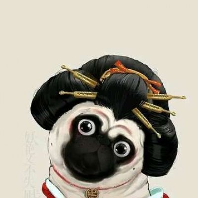 ��ʰ�������ͷ