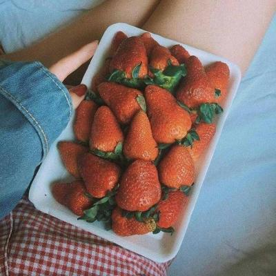 Ψ������ͼ