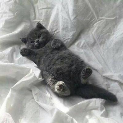 Ψ������ͼ