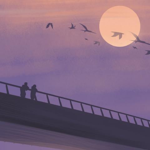 ���������羰ͷ��   ����ʱ�� ��������