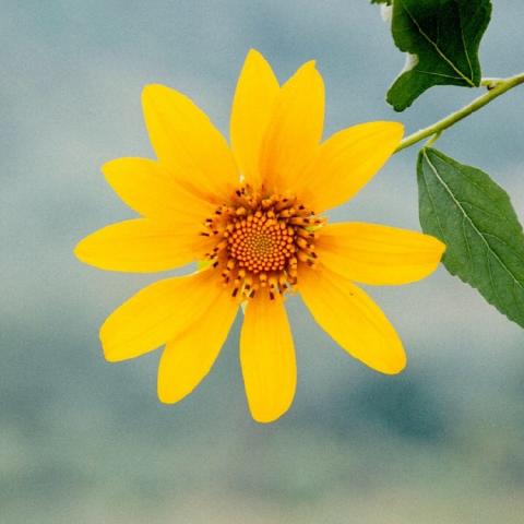 ���������羰ͷ��   ����ʱ�� ��������