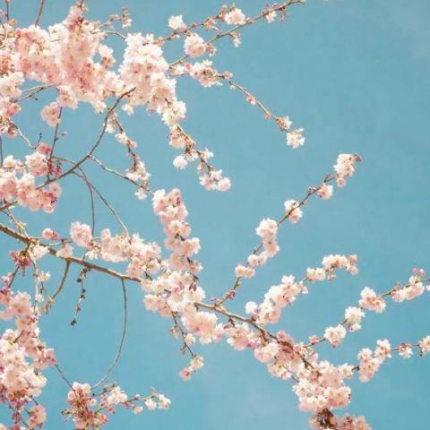 ���������羰ͷ��   ����ʱ�� ��������