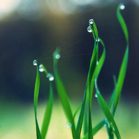 ���������羰ͷ��   ����ʱ�� ��������