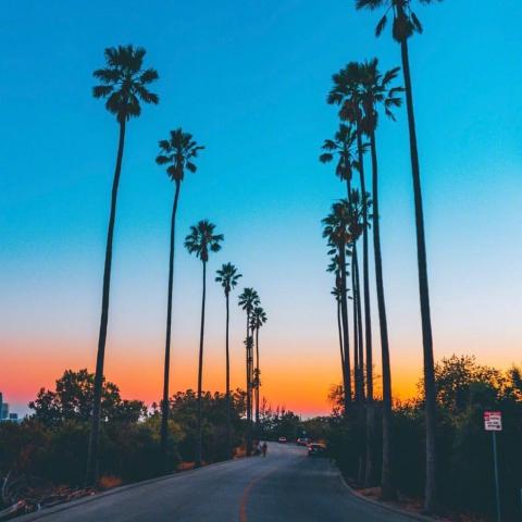 ���������羰ͷ��   ����ʱ�� ��������