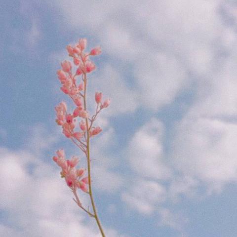 ���������羰ͷ��   ����ʱ�� ��������