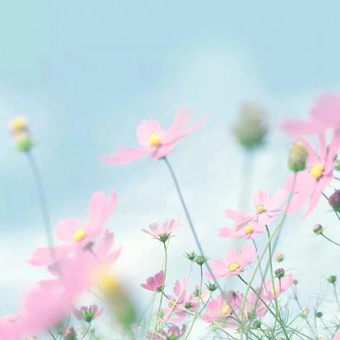 ���������羰ͷ��   ����ʱ�� ��������