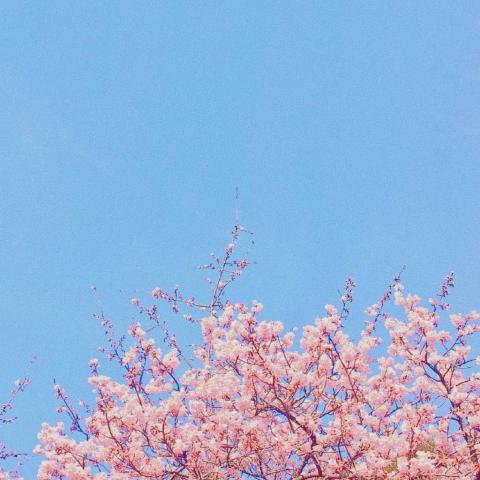 ���������羰ͷ��   ����ʱ�� ��������