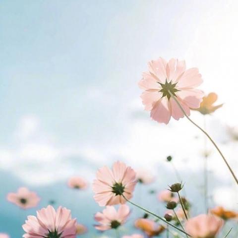 ���������羰ͷ��   ����ʱ�� ��������