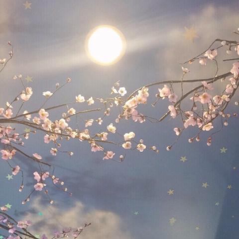 ���������羰ͷ��   ����ʱ�� ��������