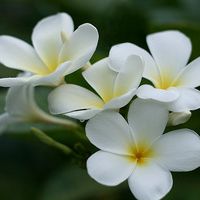 ���¾���^^