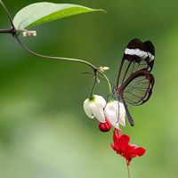 ���¾���^^