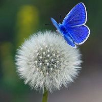 ���¾���^^