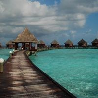 ���¾���^^