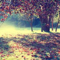 ���¾���^^