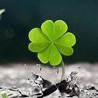 ���¾���^^