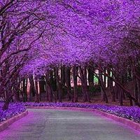 ���¾���^^