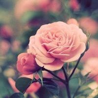 ���¾���^^