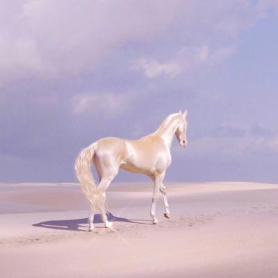 2018����΢��ͷ�� ����   ���޼��ջ����Ŷ